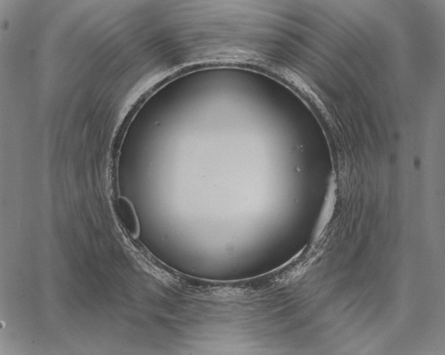 X0000067331085200604131654