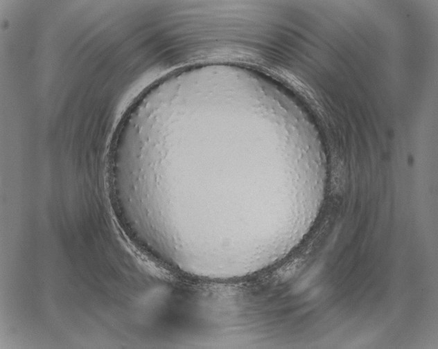 X0000067331086200604131654