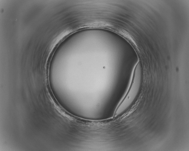 X0000067331087200604131654