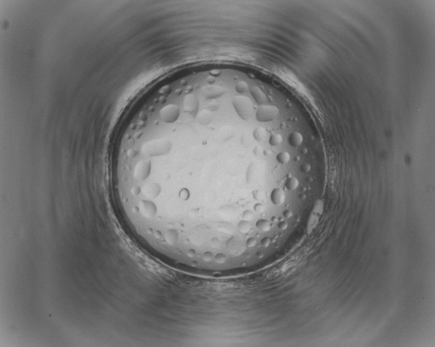 X0000067331088200604131654