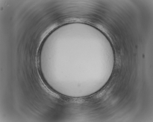 X0000067331090200604131654