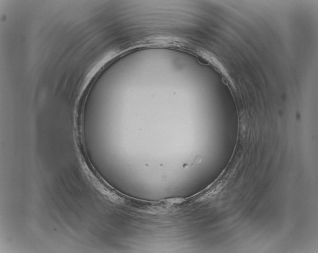 X0000067331091200604131654