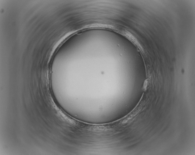 X0000067331092200604131654