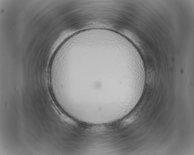 X0000067331094200604131654