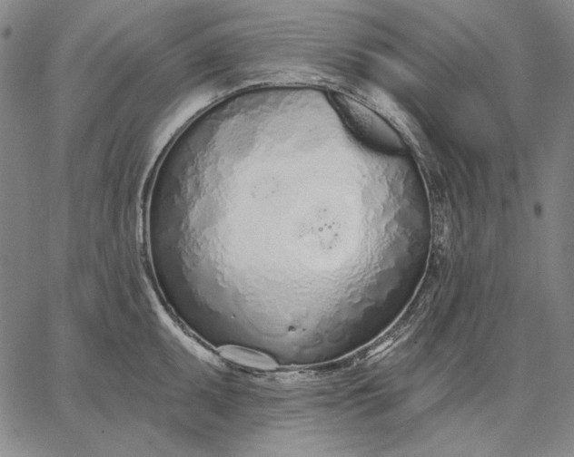 X0000067331095200604131654