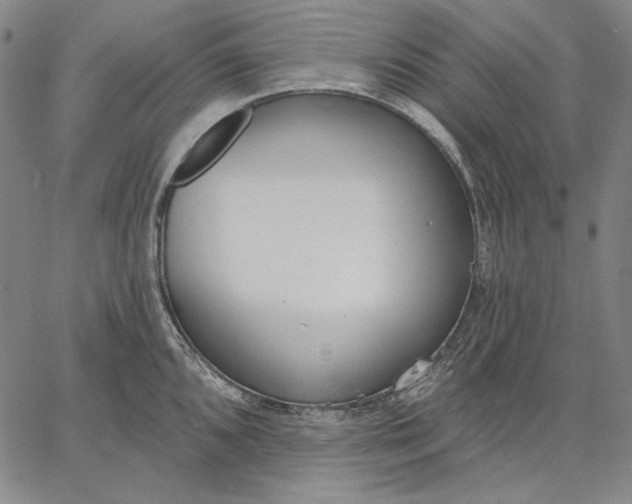 X0000067331096200604131654