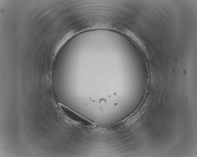 X0000067331097200604131654