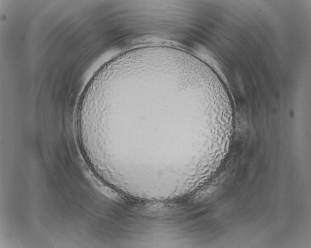 X0000067331098200604131654