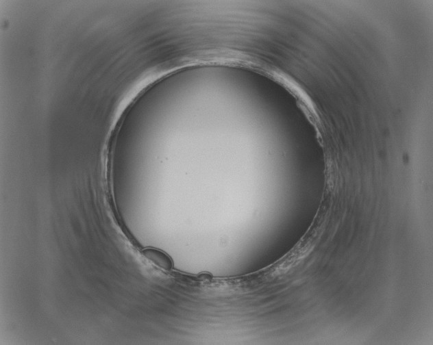 X0000067331099200604131654