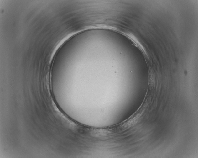 X0000067331100200604131654