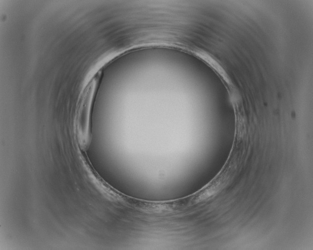 X0000067331101200604131654