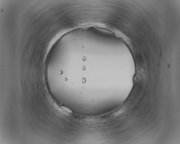 X0000067331102200604131654