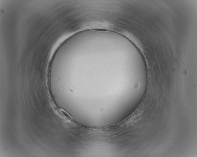 X0000067331104200604131654