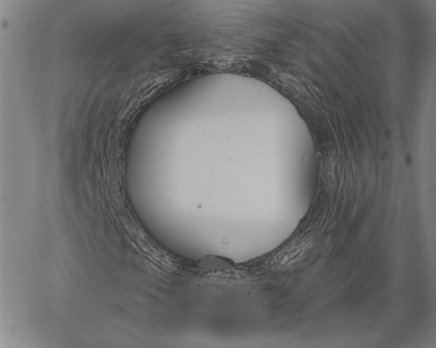 X0000067331105200604131653