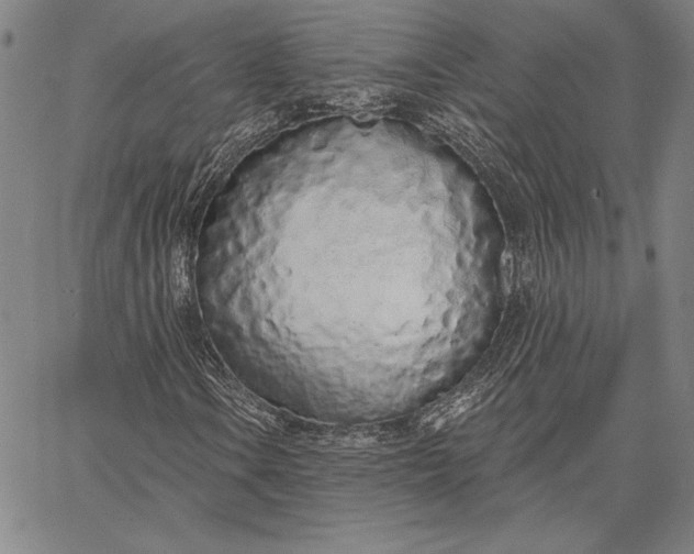 X0000067331106200604131653