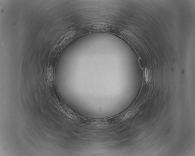 X0000067331107200604131653