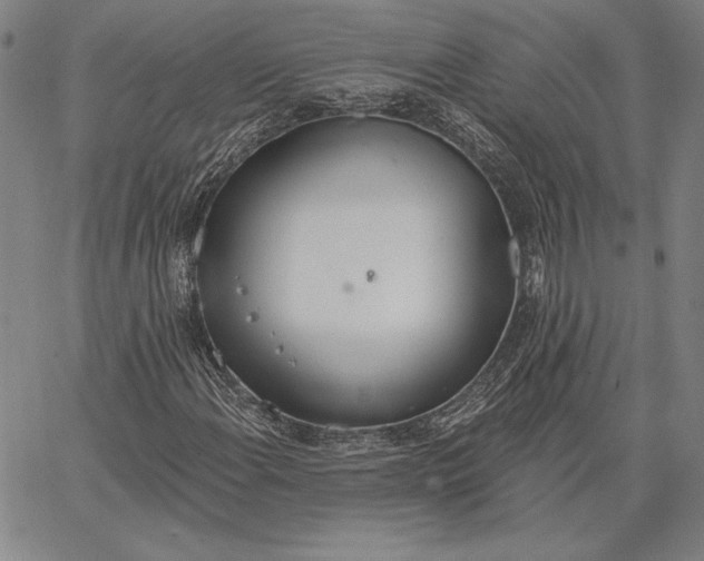 X0000067331108200604131653