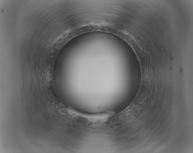 X0000067331110200604131653