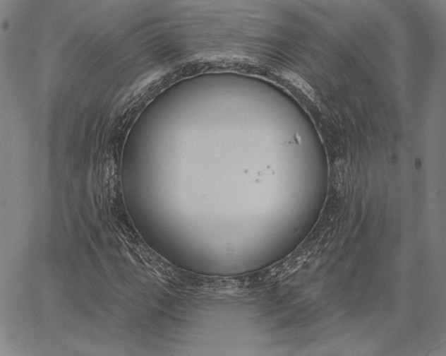 X0000067331111200604131653