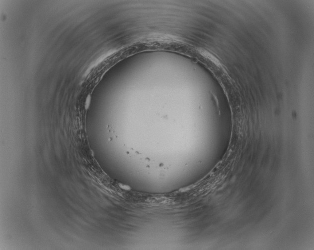 X0000067331112200604131654