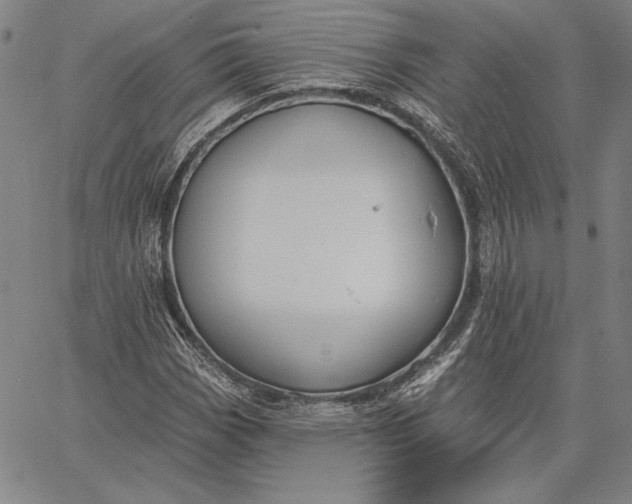 X0000067331113200604131654