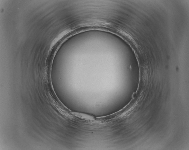 X0000067331114200604131654