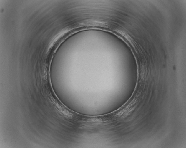 X0000067331115200604131654