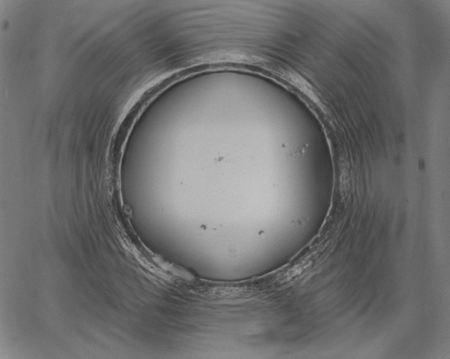 X0000067331116200604131654