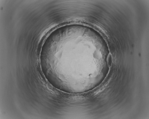 X0000067331117200604131654