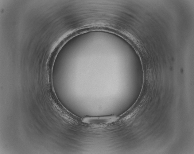 X0000067331118200604131654