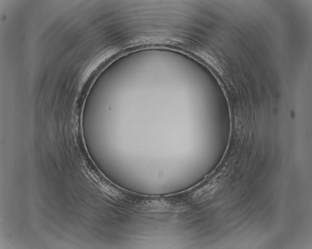 X0000067331119200604131654