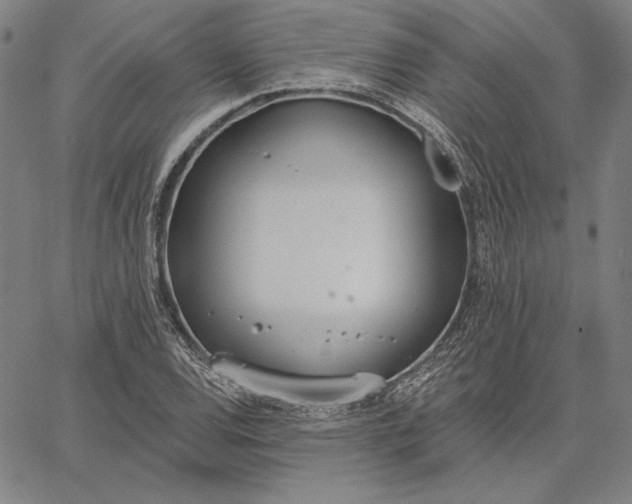 X0000067331120200604131654