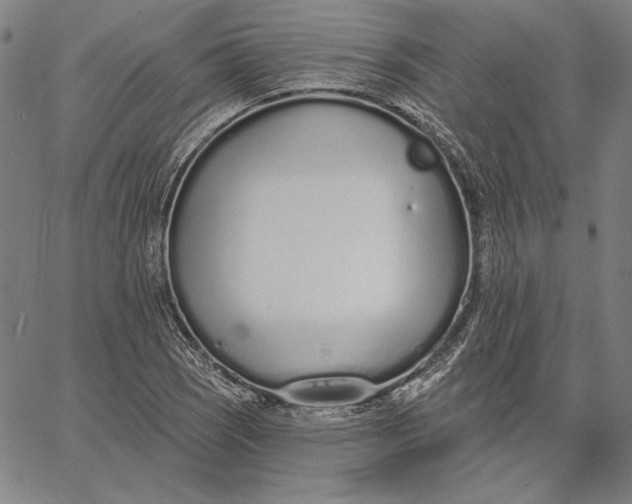 X0000067331121200604131654