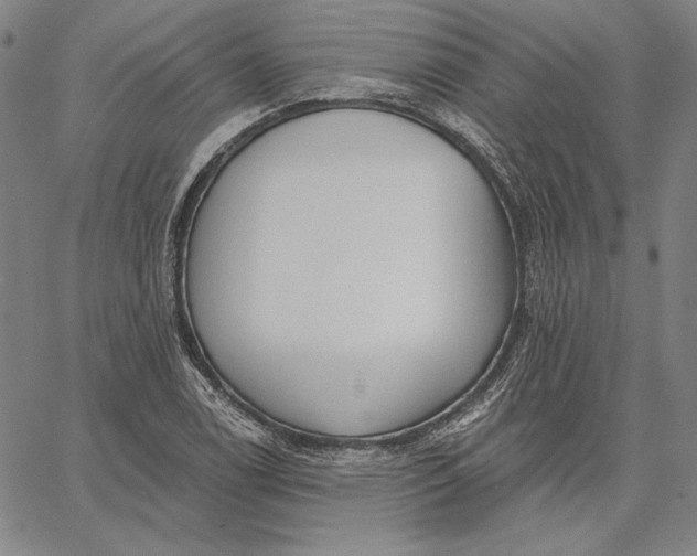 X0000067331122200604131654