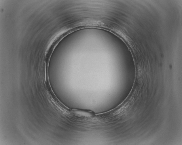 X0000067331123200604131654