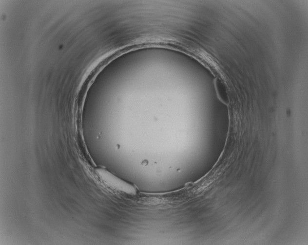 X0000067331124200604131654