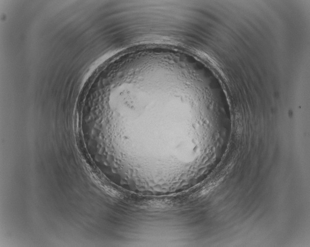 X0000067331125200604131654