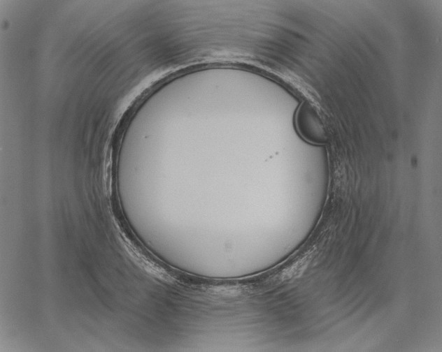 X0000067331126200604131654