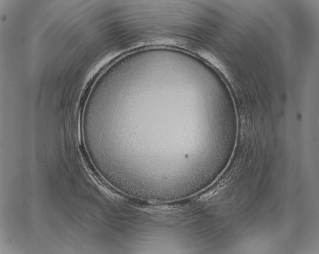 X0000067331127200604131654