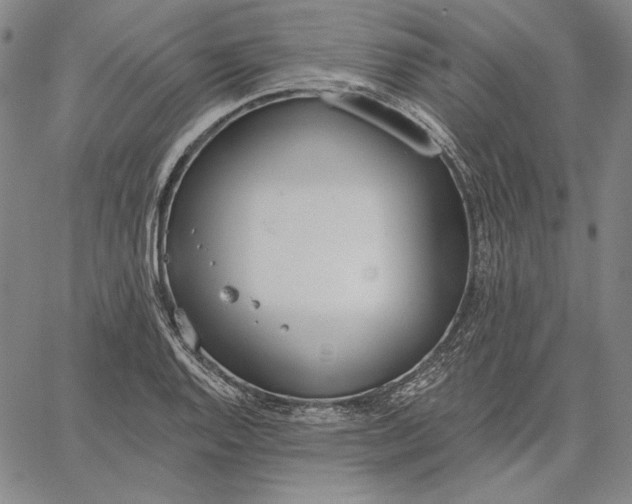 X0000067331128200604131654