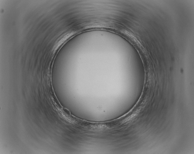 X0000067331129200604131654