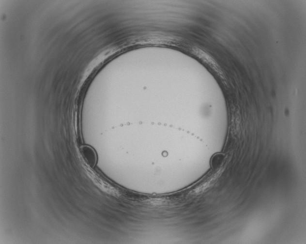 X0000067331130200604131654