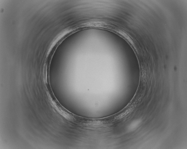 X0000067331131200604131654