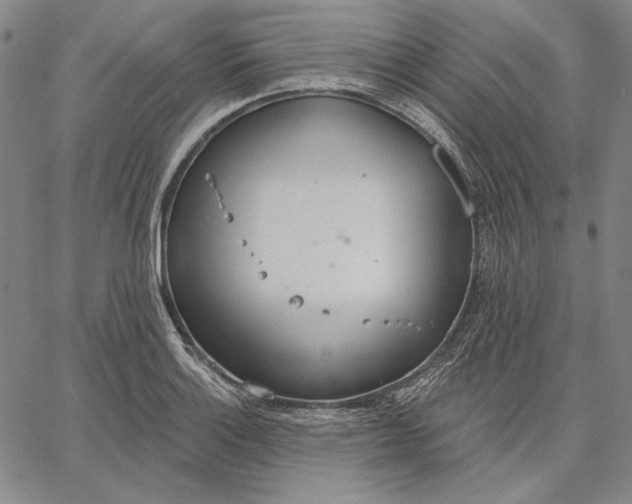 X0000067331132200604131654