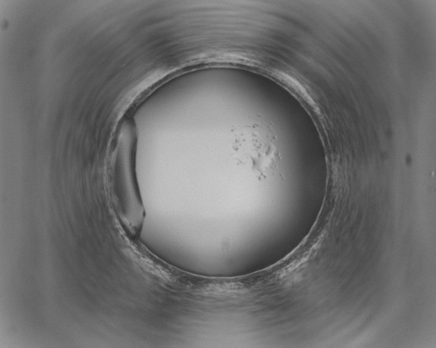 X0000067331133200604131654