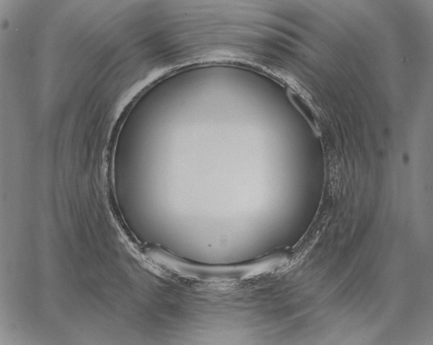 X0000067331134200604131654