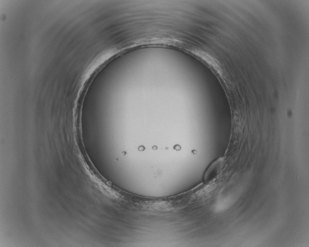 X0000067331135200604131654