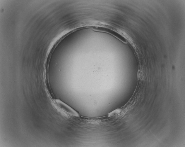 X0000067331136200604131654