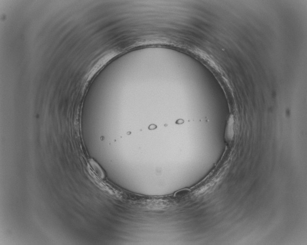 X0000067331137200604131654