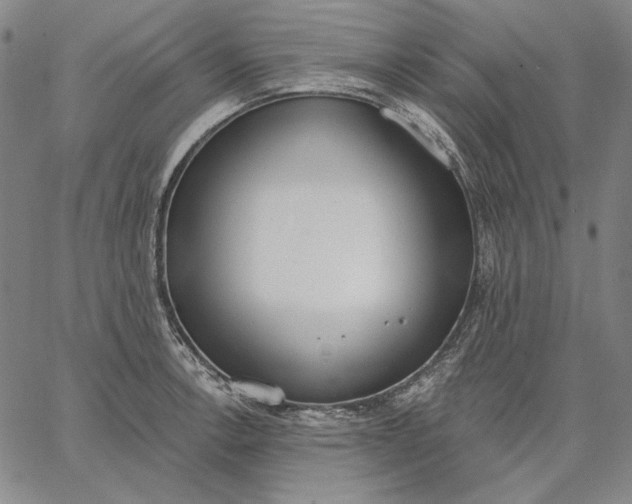 X0000067331138200604131654